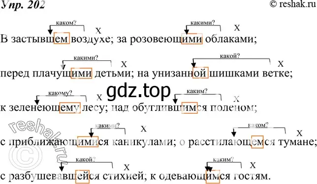 Решение 4. номер 202 (страница 73) гдз по русскому языку 7 класс Разумовская, Львова, учебник