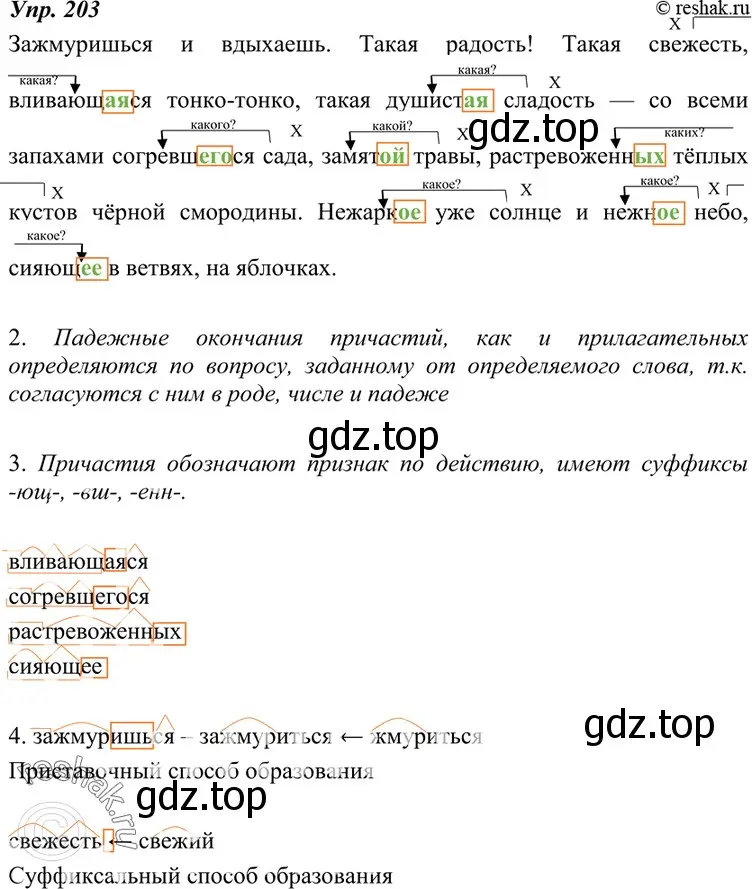 Решение 4. номер 203 (страница 74) гдз по русскому языку 7 класс Разумовская, Львова, учебник