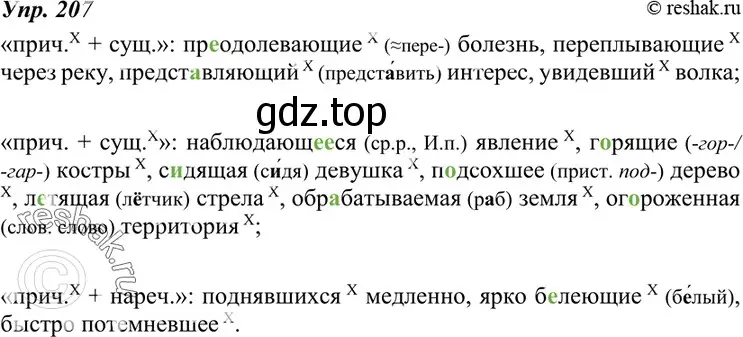 Решение 4. номер 207 (страница 75) гдз по русскому языку 7 класс Разумовская, Львова, учебник