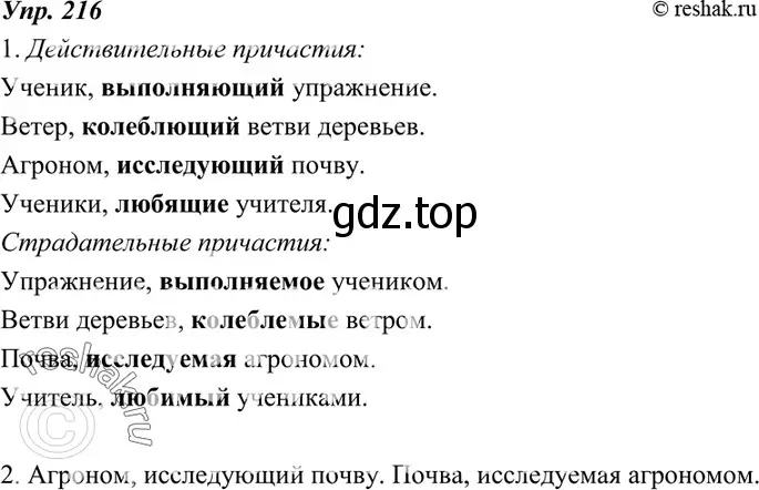 Решение 4. номер 216 (страница 79) гдз по русскому языку 7 класс Разумовская, Львова, учебник