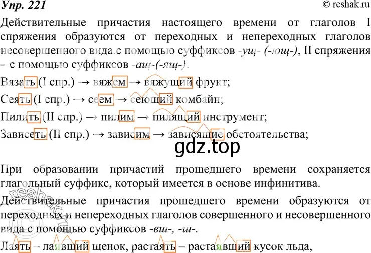 Решение 4. номер 221 (страница 82) гдз по русскому языку 7 класс Разумовская, Львова, учебник