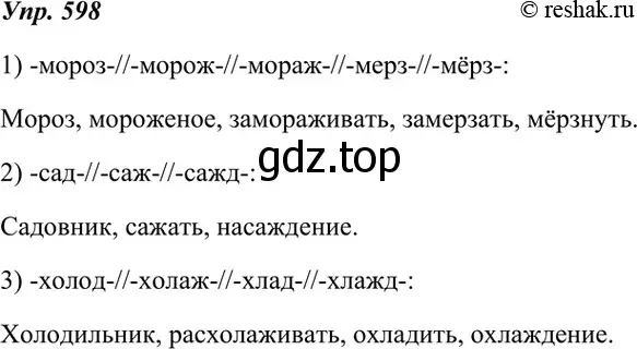 Решение 4. номер 598 (страница 229) гдз по русскому языку 7 класс Разумовская, Львова, учебник