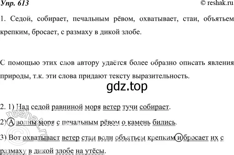 Решение 4. номер 613 (страница 232) гдз по русскому языку 7 класс Разумовская, Львова, учебник