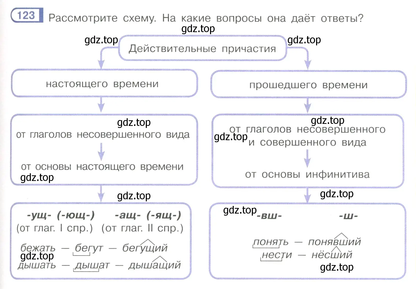 Условие номер 123 (страница 63) гдз по русскому языку 7 класс Рыбченкова, Александрова, учебник 1 часть