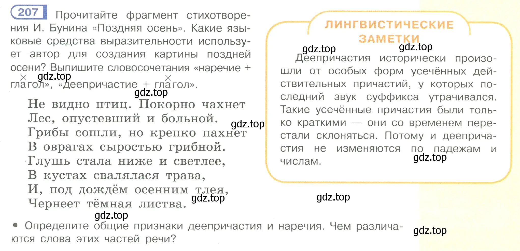 Условие номер 207 (страница 99) гдз по русскому языку 7 класс Рыбченкова, Александрова, учебник 1 часть