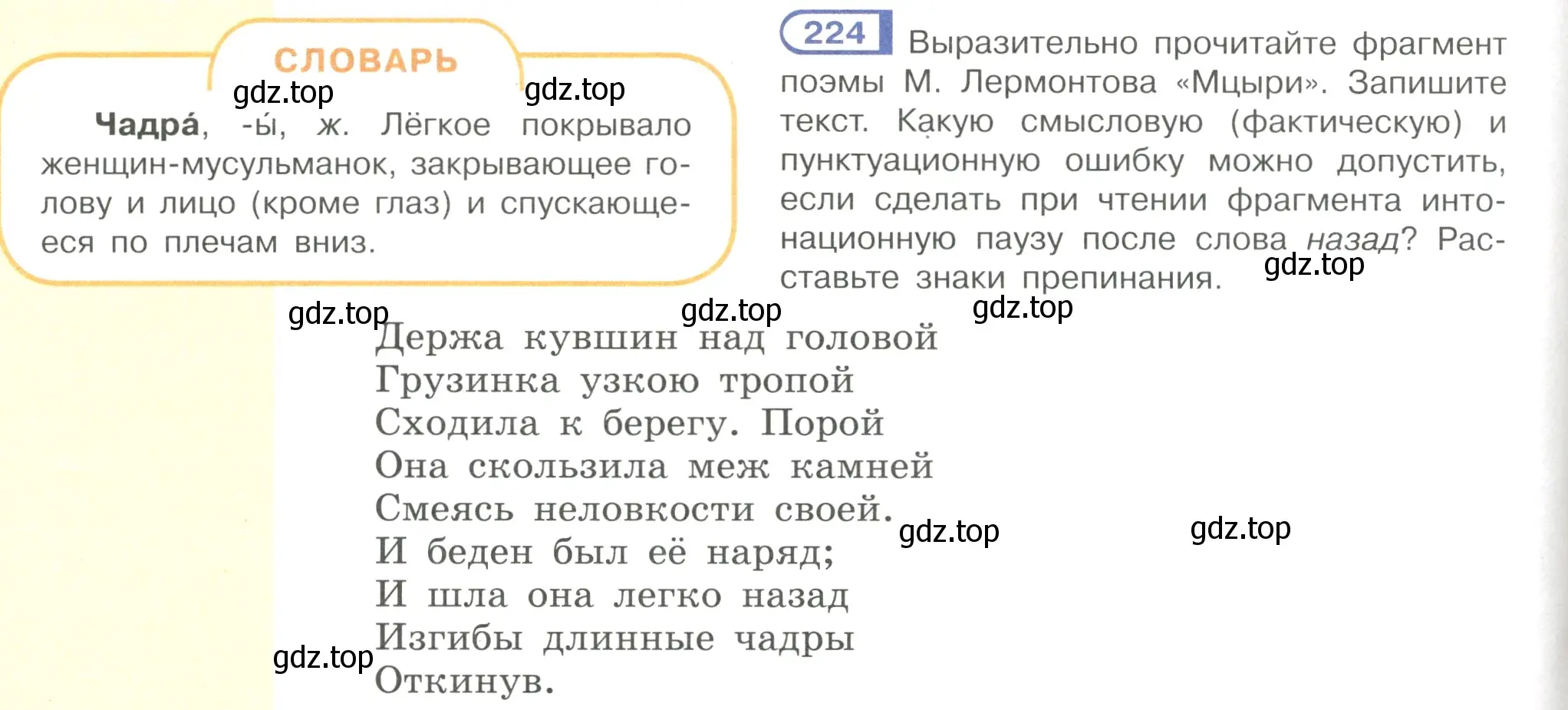 Условие номер 224 (страница 108) гдз по русскому языку 7 класс Рыбченкова, Александрова, учебник 1 часть