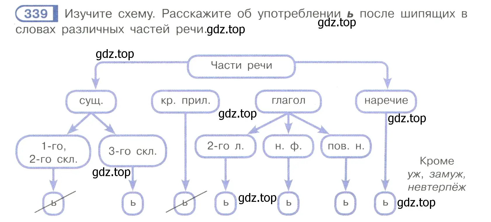 Условие номер 339 (страница 36) гдз по русскому языку 7 класс Рыбченкова, Александрова, учебник 2 часть