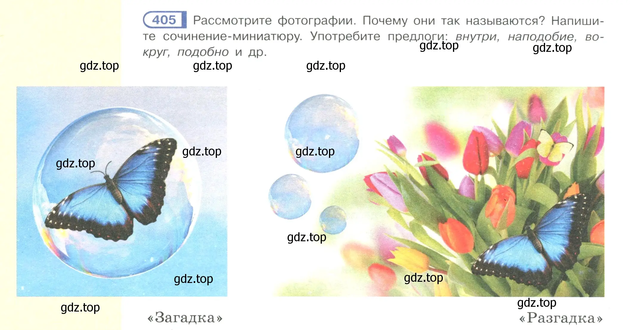 Условие номер 405 (страница 62) гдз по русскому языку 7 класс Рыбченкова, Александрова, учебник 2 часть