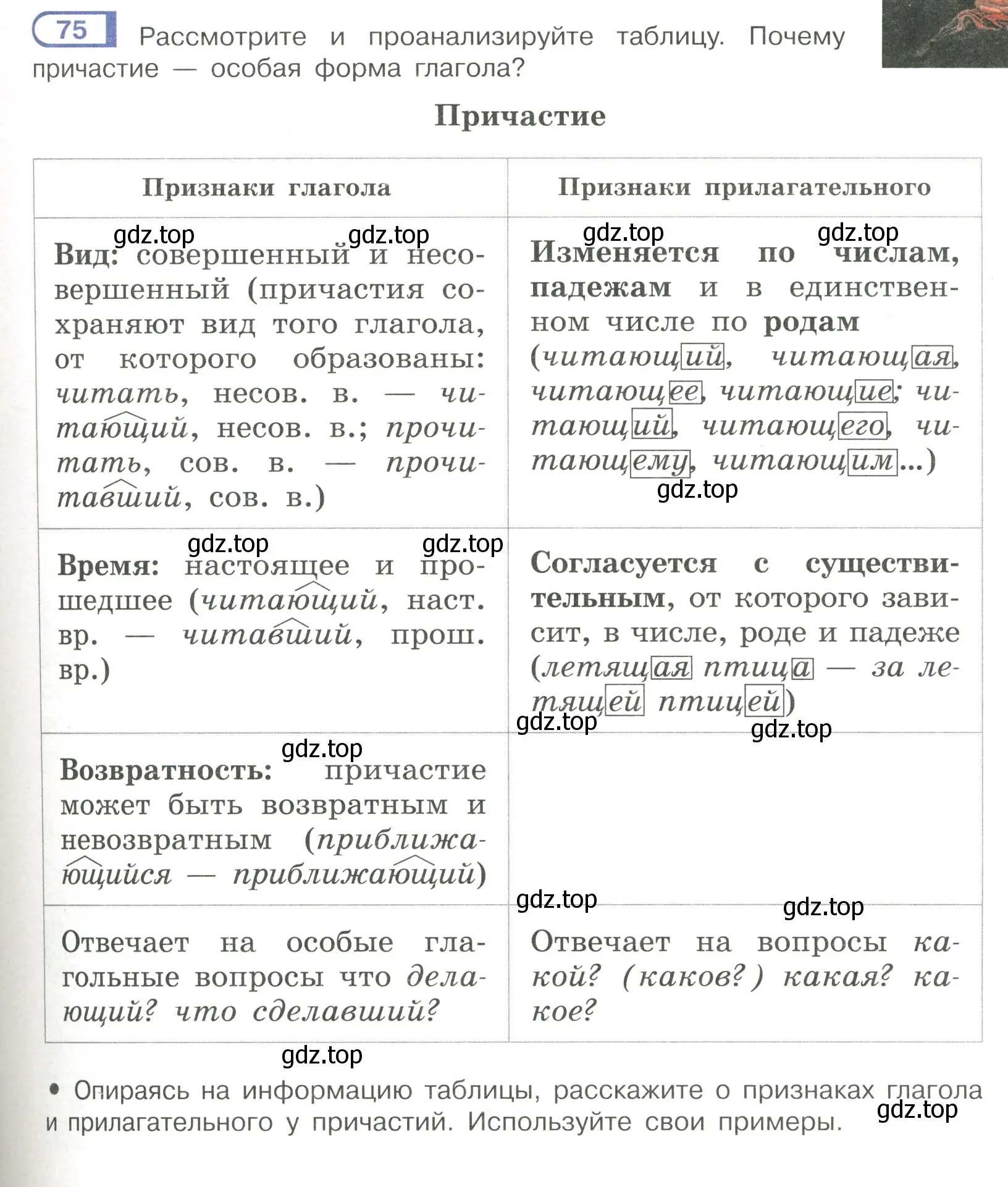 Условие номер 75 (страница 43) гдз по русскому языку 7 класс Рыбченкова, Александрова, учебник 1 часть