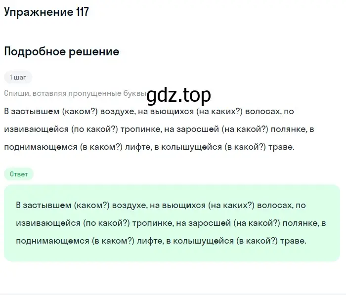 Решение номер 117 (страница 61) гдз по русскому языку 7 класс Рыбченкова, Александрова, учебник 1 часть