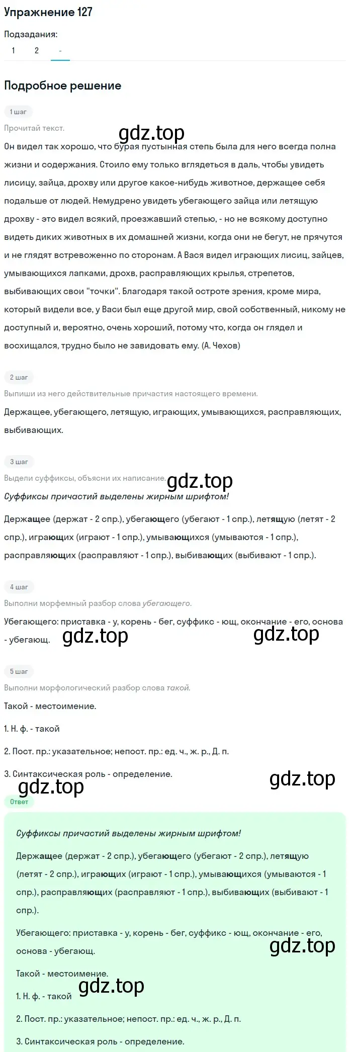 Решение номер 127 (страница 65) гдз по русскому языку 7 класс Рыбченкова, Александрова, учебник 1 часть