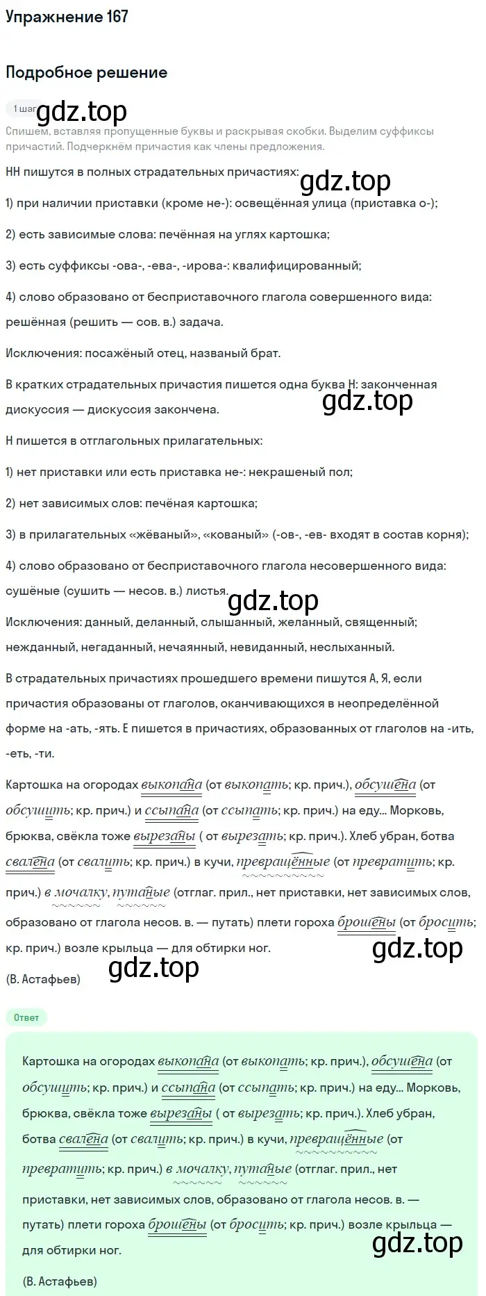 Решение номер 167 (страница 81) гдз по русскому языку 7 класс Рыбченкова, Александрова, учебник 1 часть