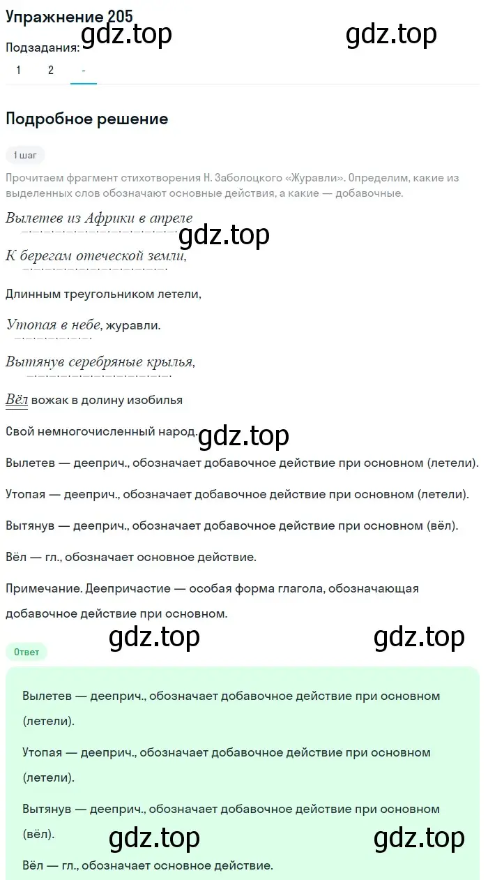 Решение номер 205 (страница 98) гдз по русскому языку 7 класс Рыбченкова, Александрова, учебник 1 часть