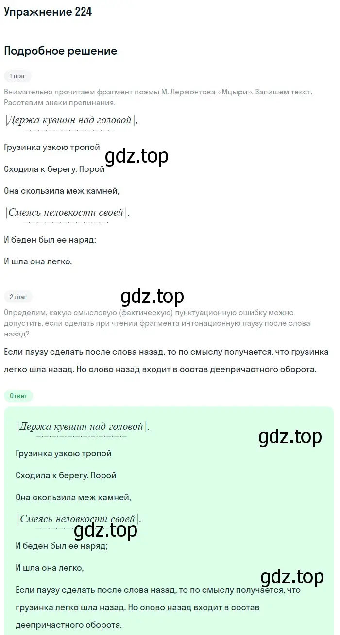 Решение номер 224 (страница 108) гдз по русскому языку 7 класс Рыбченкова, Александрова, учебник 1 часть