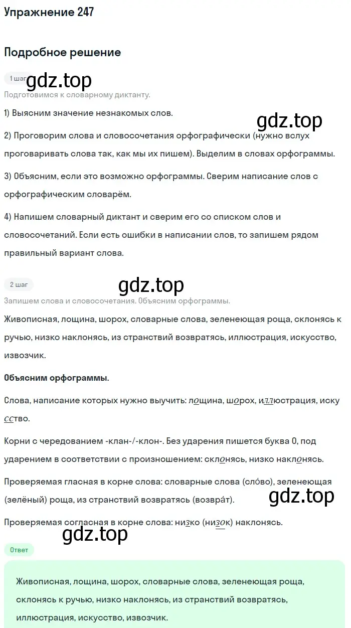 Решение номер 247 (страница 124) гдз по русскому языку 7 класс Рыбченкова, Александрова, учебник 1 часть