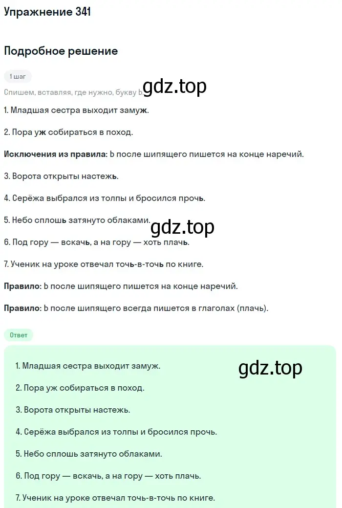 Решение номер 341 (страница 37) гдз по русскому языку 7 класс Рыбченкова, Александрова, учебник 2 часть