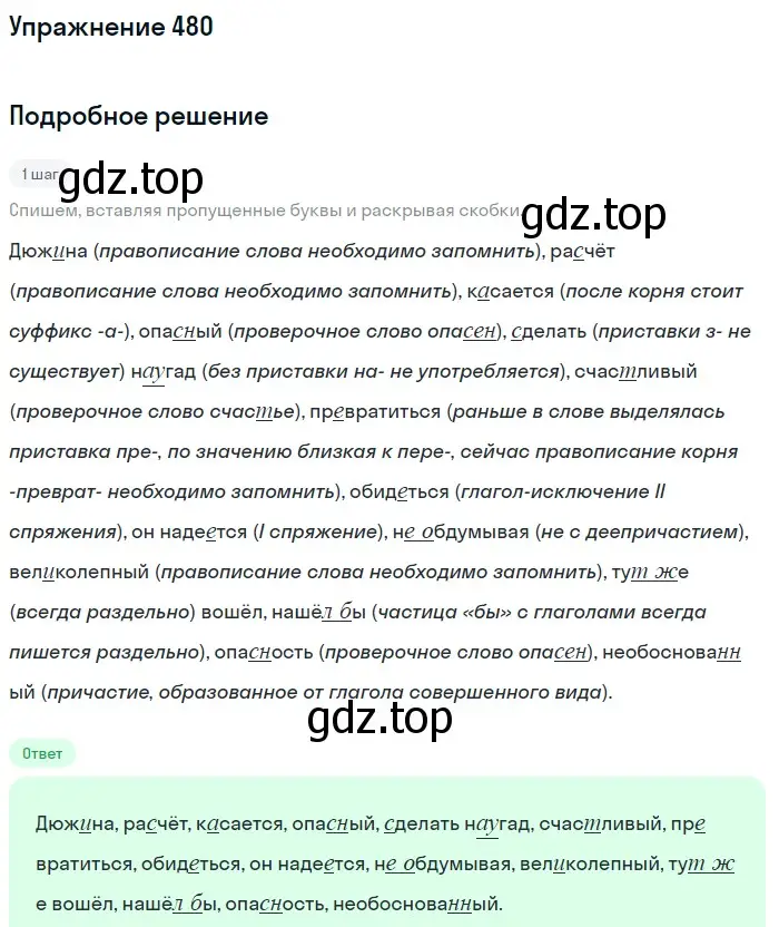 Решение номер 480 (страница 101) гдз по русскому языку 7 класс Рыбченкова, Александрова, учебник 2 часть