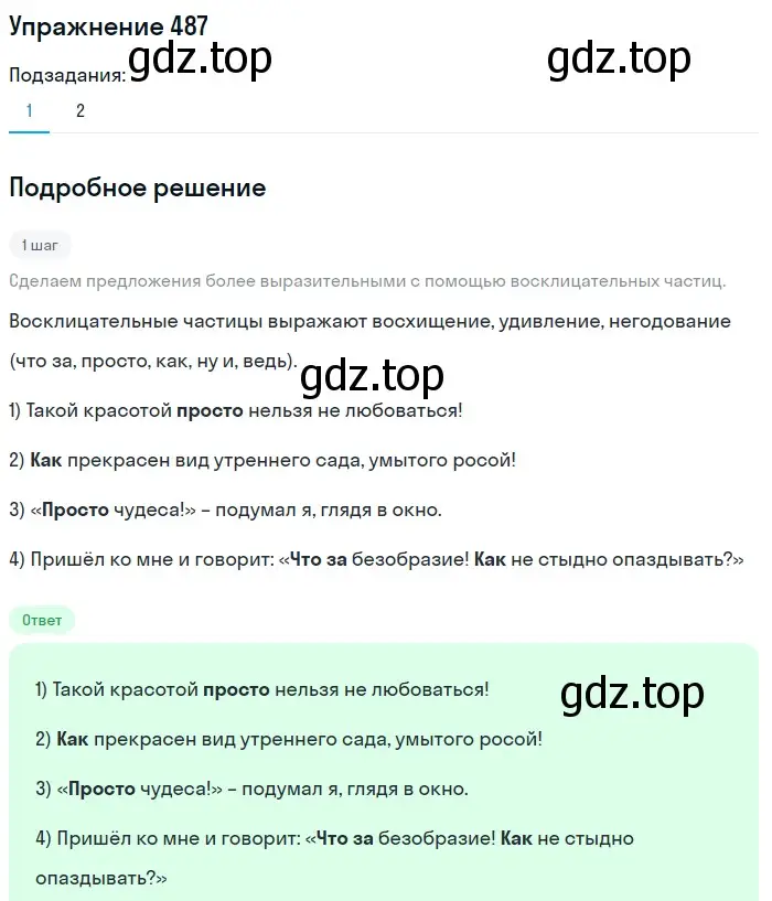 Решение номер 487 (страница 104) гдз по русскому языку 7 класс Рыбченкова, Александрова, учебник 2 часть