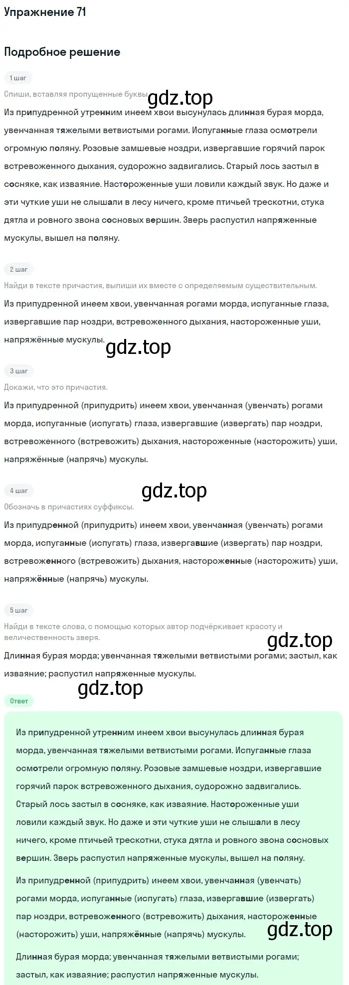 Решение номер 71 (страница 40) гдз по русскому языку 7 класс Рыбченкова, Александрова, учебник 1 часть