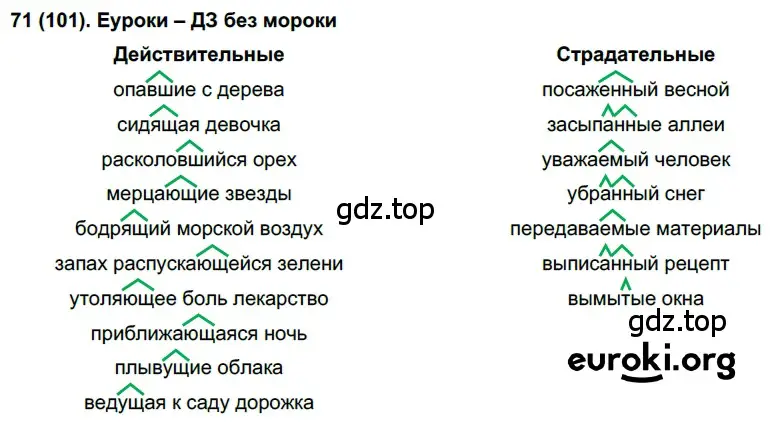 Решение 2. номер 101 (страница 53) гдз по русскому языку 7 класс Рыбченкова, Александрова, учебник 1 часть