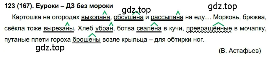 Решение 2. номер 123 (страница 63) гдз по русскому языку 7 класс Рыбченкова, Александрова, учебник 1 часть