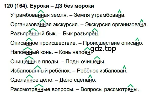 Решение 2. номер 164 (страница 81) гдз по русскому языку 7 класс Рыбченкова, Александрова, учебник 1 часть