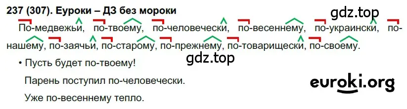 Решение 2. номер 307 (страница 21) гдз по русскому языку 7 класс Рыбченкова, Александрова, учебник 2 часть