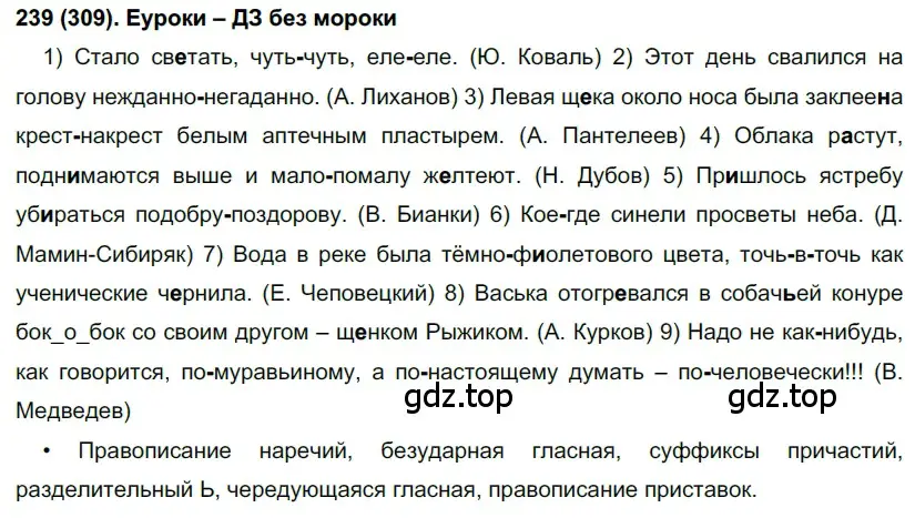 Решение 2. номер 309 (страница 22) гдз по русскому языку 7 класс Рыбченкова, Александрова, учебник 2 часть