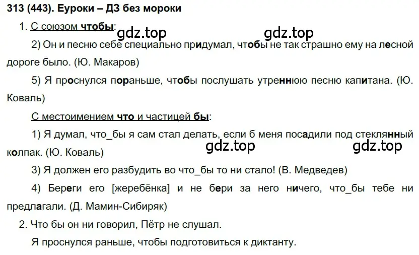 Решение 2. номер 313 (страница 25) гдз по русскому языку 7 класс Рыбченкова, Александрова, учебник 2 часть