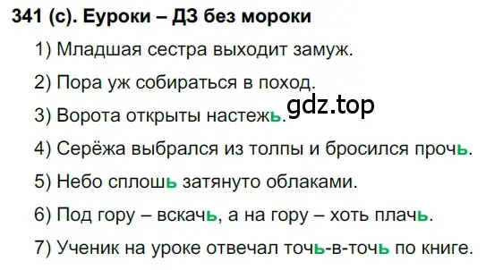 Решение 2. номер 341 (страница 37) гдз по русскому языку 7 класс Рыбченкова, Александрова, учебник 2 часть