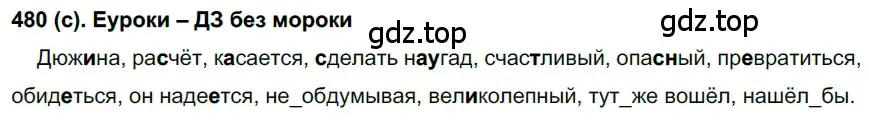 Решение 2. номер 480 (страница 101) гдз по русскому языку 7 класс Рыбченкова, Александрова, учебник 2 часть