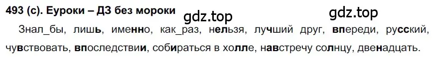 Решение 2. номер 493 (страница 107) гдз по русскому языку 7 класс Рыбченкова, Александрова, учебник 2 часть