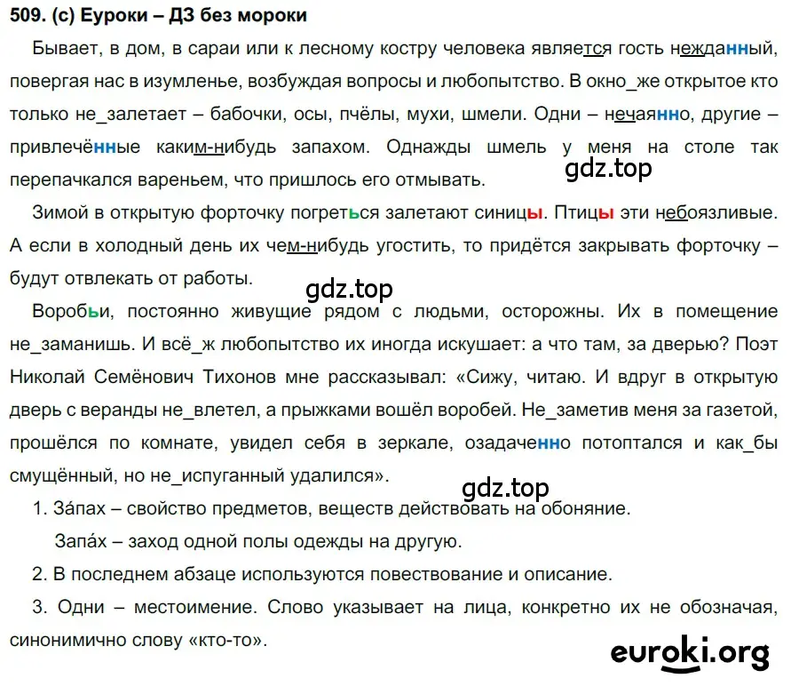 Решение 2. номер 509 (страница 113) гдз по русскому языку 7 класс Рыбченкова, Александрова, учебник 2 часть