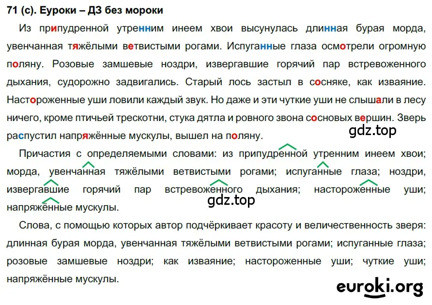 Решение 2. номер 71 (страница 40) гдз по русскому языку 7 класс Рыбченкова, Александрова, учебник 1 часть