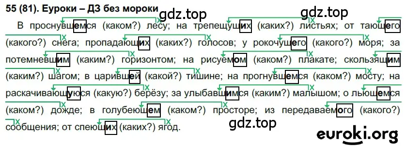 Решение 2. номер 81 (страница 46) гдз по русскому языку 7 класс Рыбченкова, Александрова, учебник 1 часть