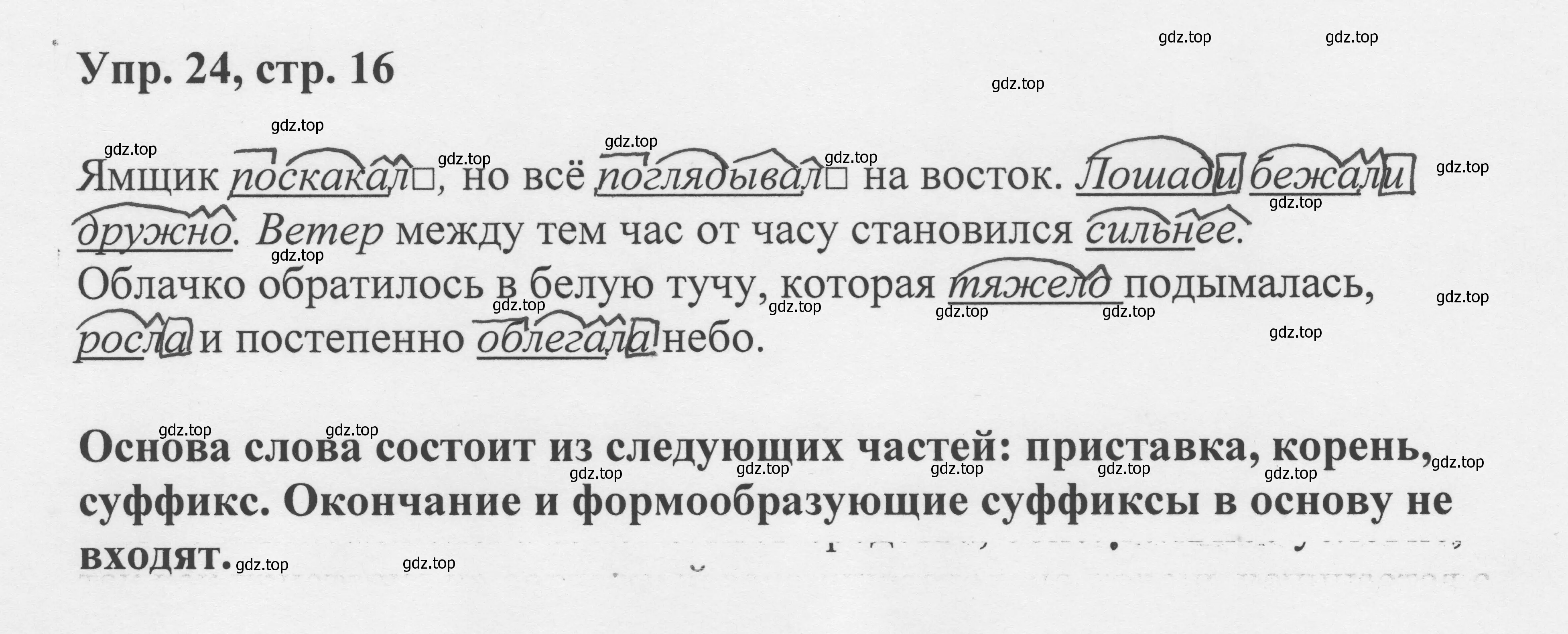 Решение номер 16 (страница 13) гдз по русскому языку 8 класс Бархударов, Крючков, учебник