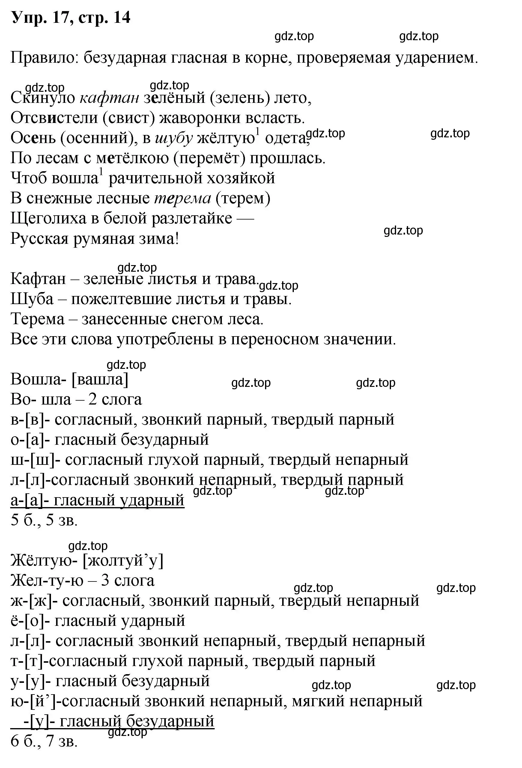 Решение номер 17 (страница 14) гдз по русскому языку 8 класс Бархударов, Крючков, учебник