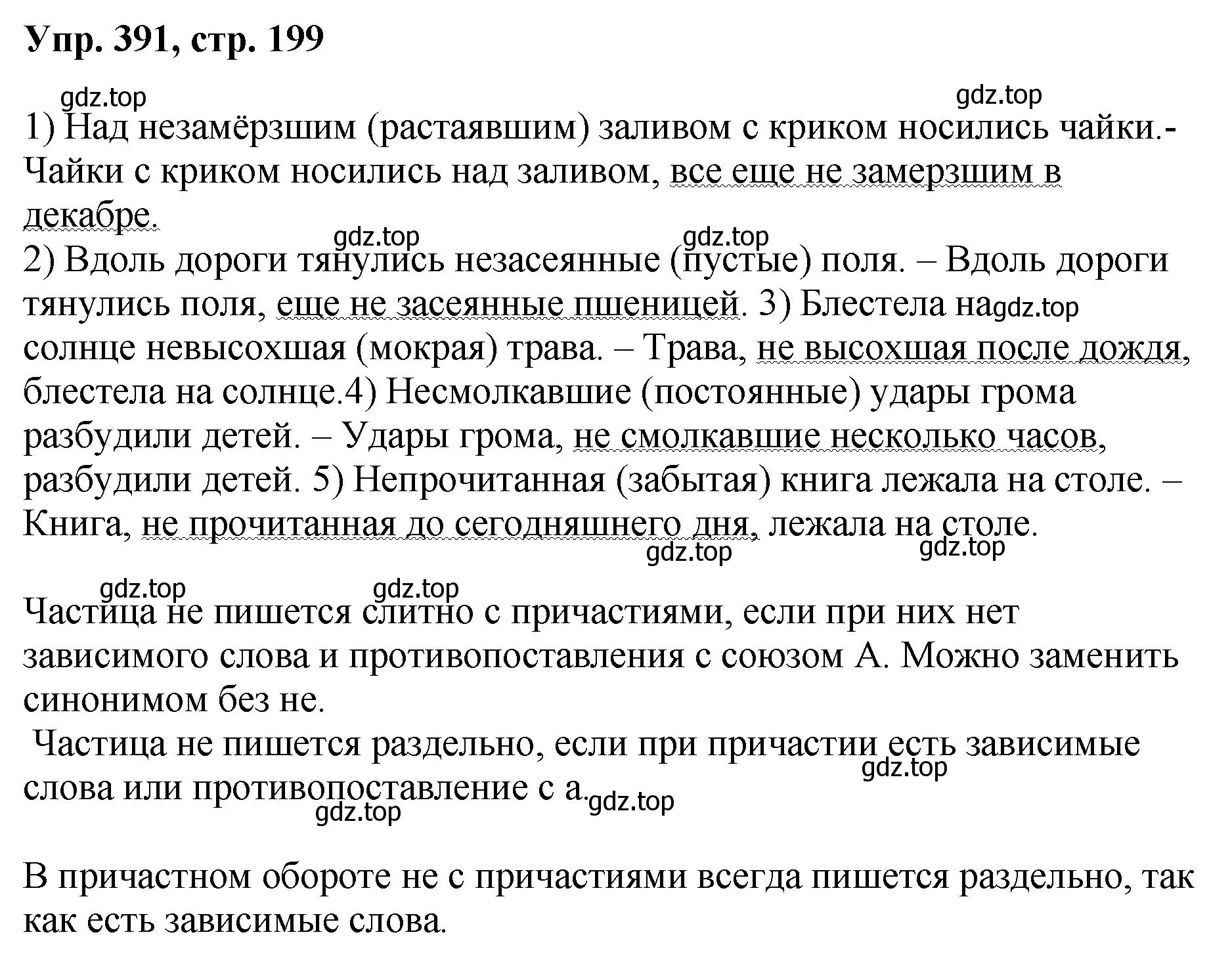 Решение номер 391 (страница 199) гдз по русскому языку 8 класс Бархударов, Крючков, учебник