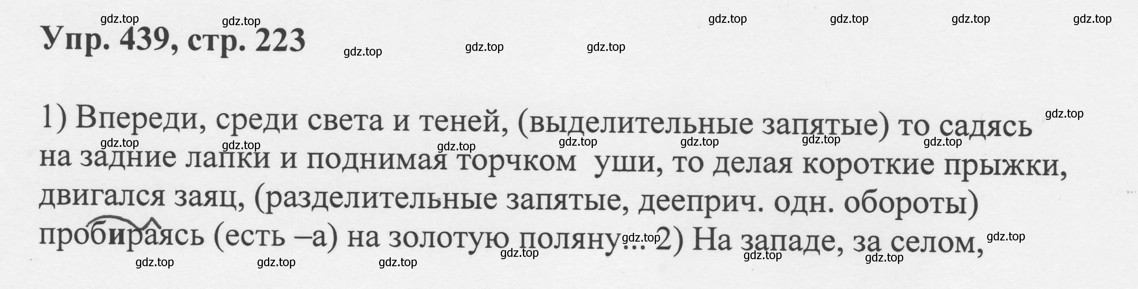 Решение номер 439 (страница 223) гдз по русскому языку 8 класс Бархударов, Крючков, учебник