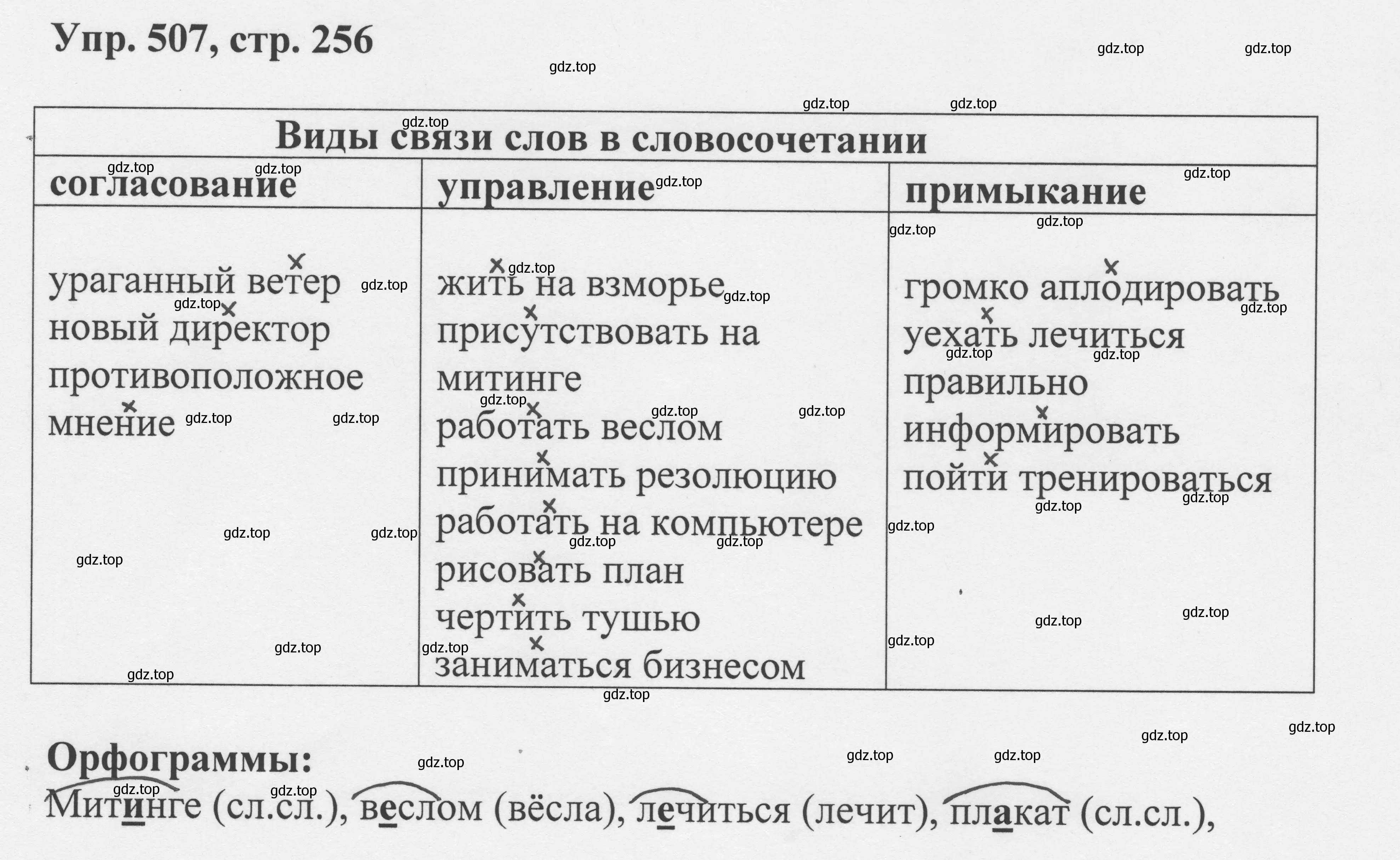 Решение номер 507 (страница 256) гдз по русскому языку 8 класс Бархударов, Крючков, учебник