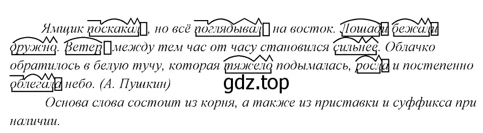 Решение 3. номер 24 (страница 16) гдз по русскому языку 8 класс Бархударов, Крючков, учебник