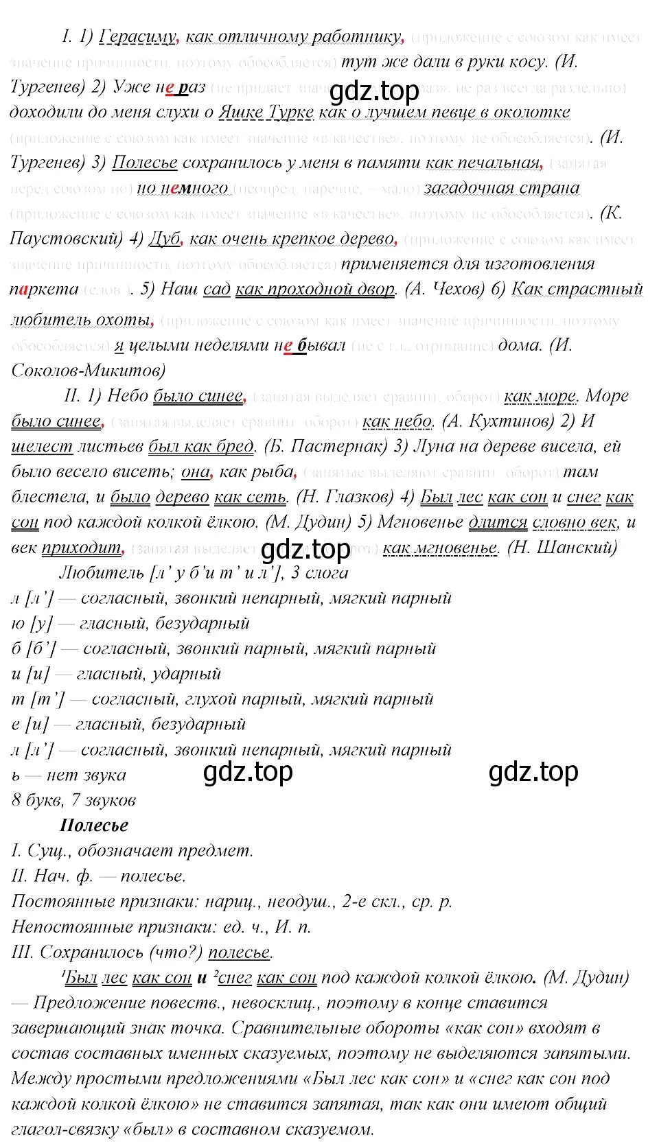 Решение 3. номер 404 (страница 204) гдз по русскому языку 8 класс Бархударов, Крючков, учебник