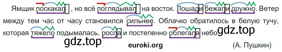 Решение 4. номер 24 (страница 16) гдз по русскому языку 8 класс Бархударов, Крючков, учебник