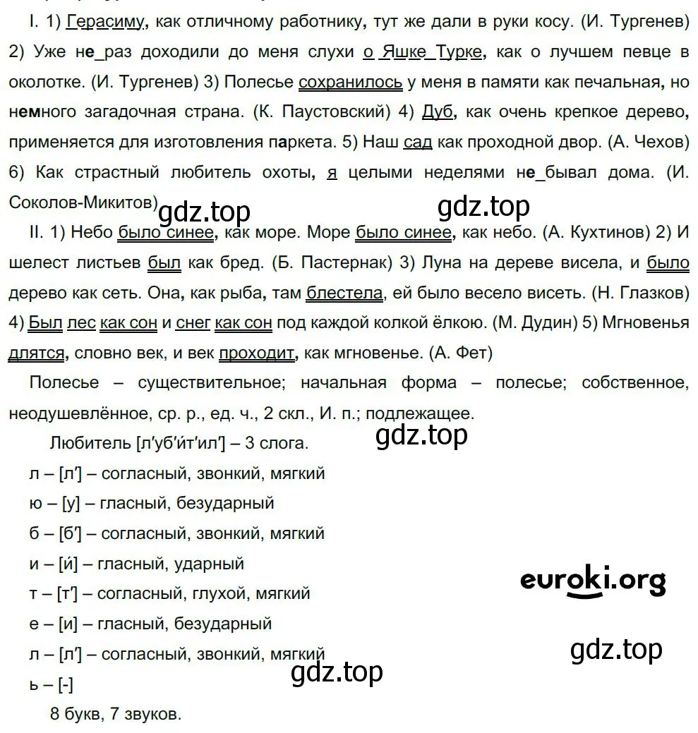 Решение 4. номер 404 (страница 204) гдз по русскому языку 8 класс Бархударов, Крючков, учебник