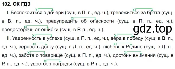 Решение 5. номер 102 (страница 53) гдз по русскому языку 8 класс Бархударов, Крючков, учебник