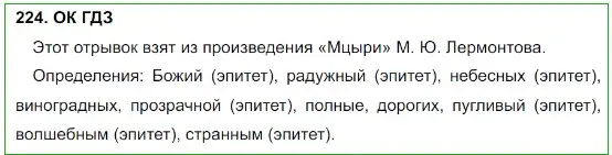 Решение 5. номер 224 (страница 114) гдз по русскому языку 8 класс Бархударов, Крючков, учебник