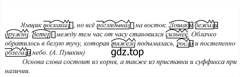 Решение 6. номер 24 (страница 16) гдз по русскому языку 8 класс Бархударов, Крючков, учебник