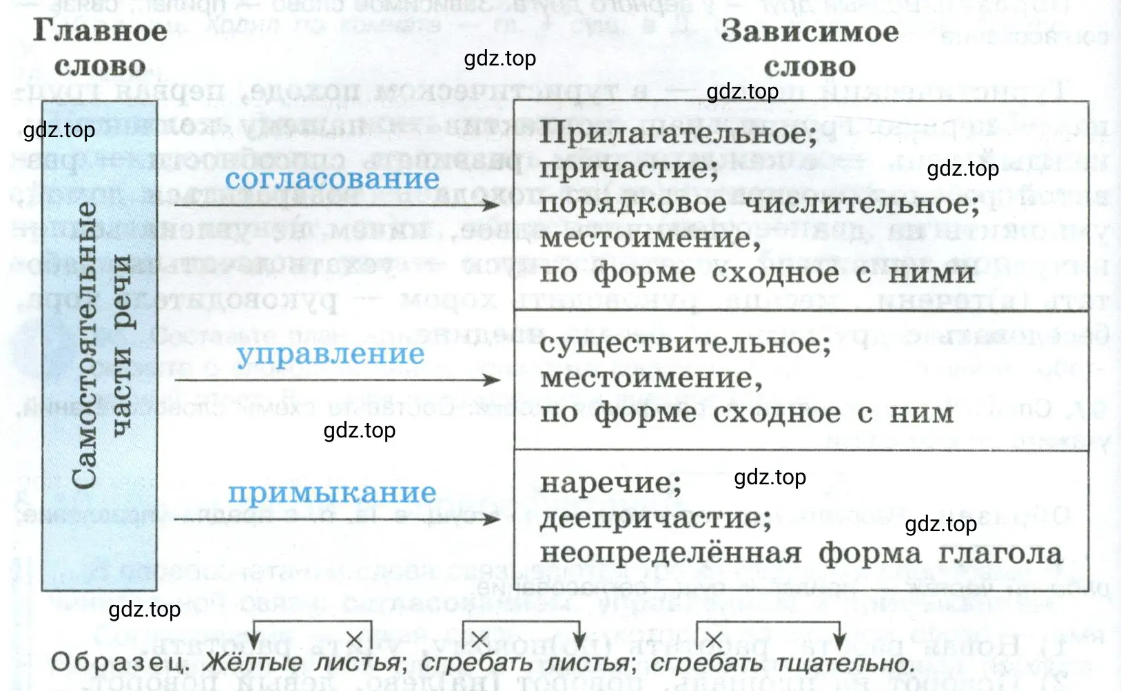 Составить и записать словосочетания, в которых зависимые слова были бы выражены так, как указано на схеме