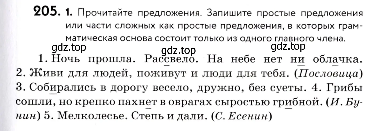 Условие номер 205 (страница 95) гдз по русскому языку 8 класс Пичугов, Еремеева, учебник