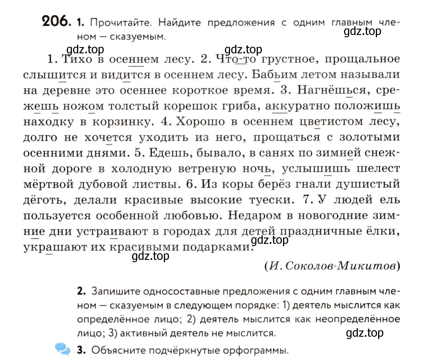 Условие номер 206 (страница 96) гдз по русскому языку 8 класс Пичугов, Еремеева, учебник